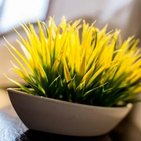 شقة Your Holidays In Sanremo. 4 Minutes From The *