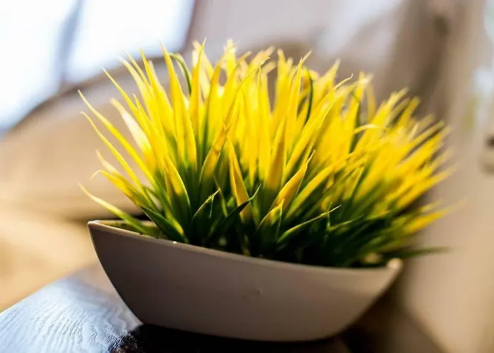 Apartman Your Holidays In Sanremo. 4 Minutes From The *